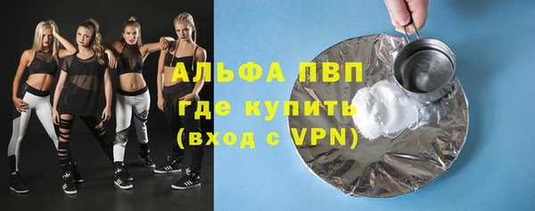 сатива Корсаков