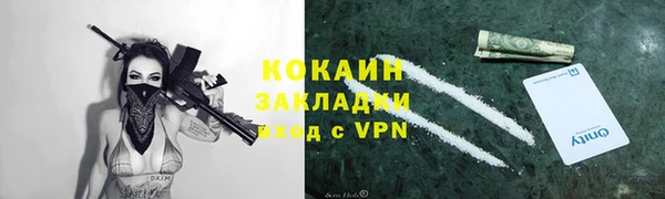 сатива Корсаков