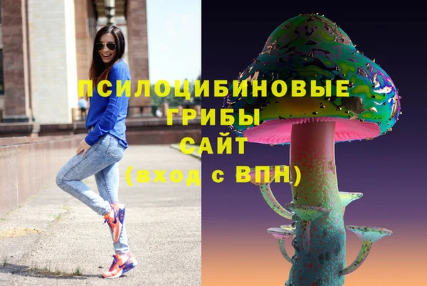 соль ск Костерёво