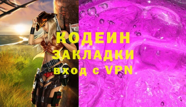 сатива Корсаков
