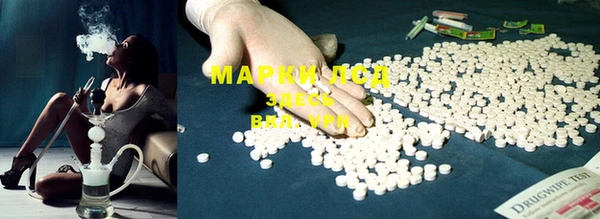 индика Киреевск