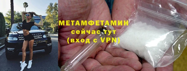 сатива Корсаков