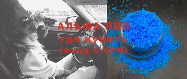 сатива Корсаков
