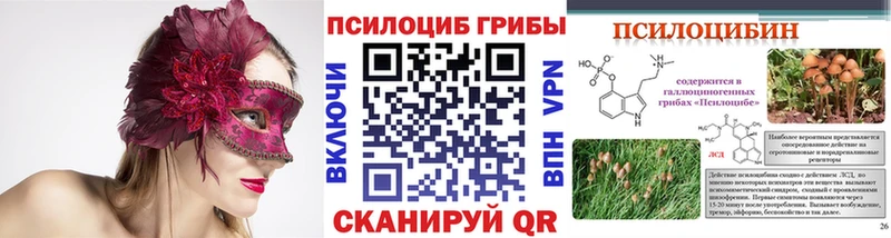 где найти   Кинешма  ОМГ ОМГ ссылка  Галлюциногенные грибы Cubensis 