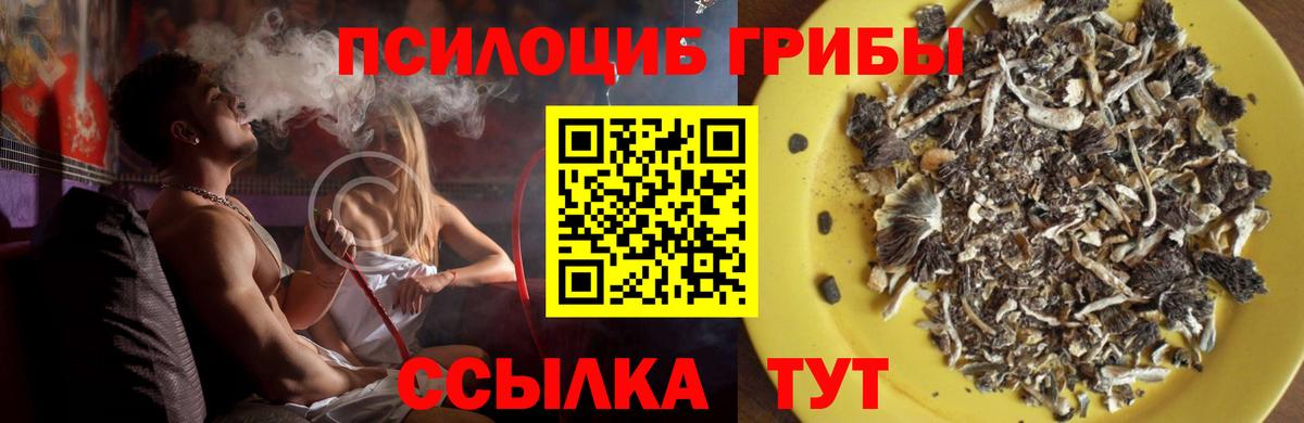Кинешма  Псилоцибиновые грибы GOLDEN TEACHER  где можно купить наркотик  Вход с VPN 