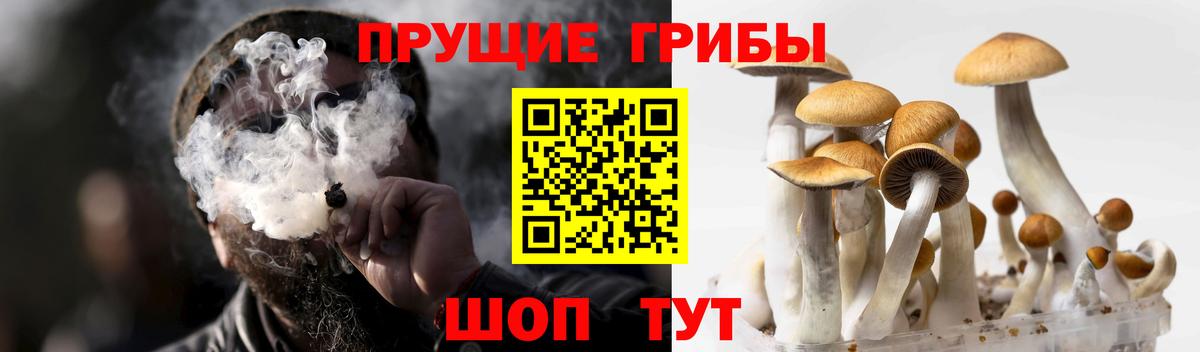 Псилоцибиновые грибы Magic Shrooms Кинешма